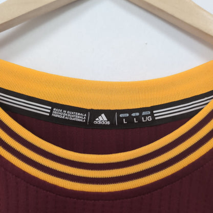 Maillot vintage NBA Cavaliers Cleveland LeBron James (taille L) T295