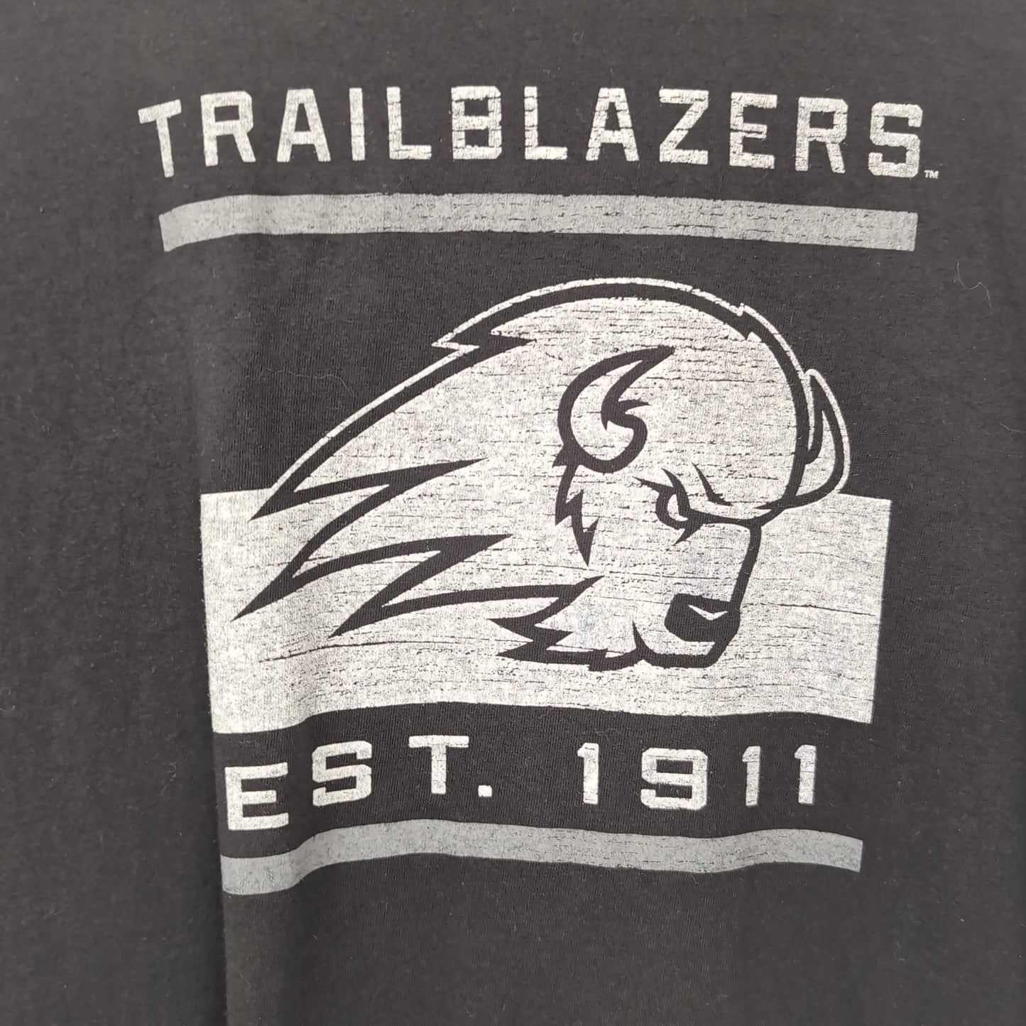 Tee shirt vintage Champion (taille L) T307